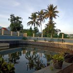 WhatsApp Image 2025-11-26 at 11.09.40 (1)